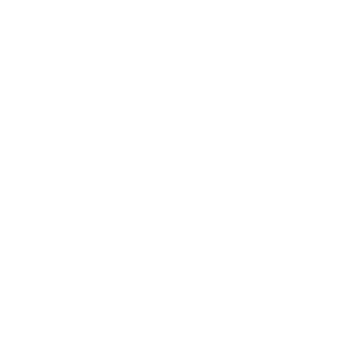 data-report