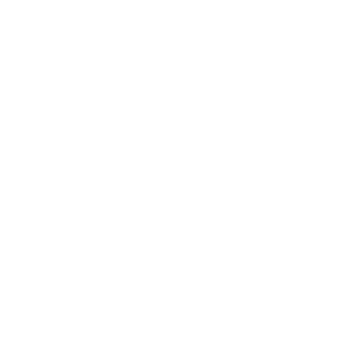 server (1)